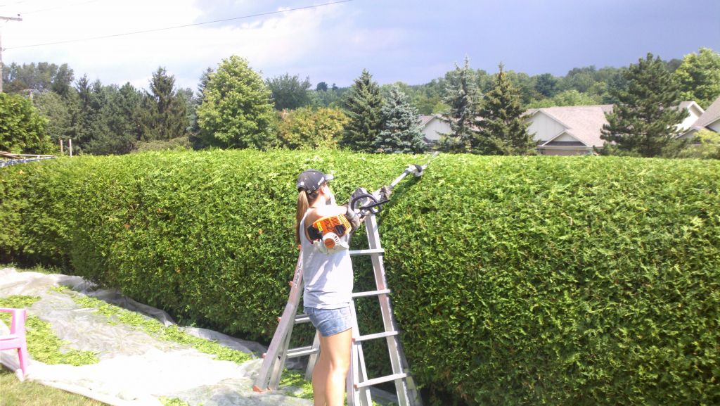 Yvan Beaulieu Haies et Jardins - Cover photo