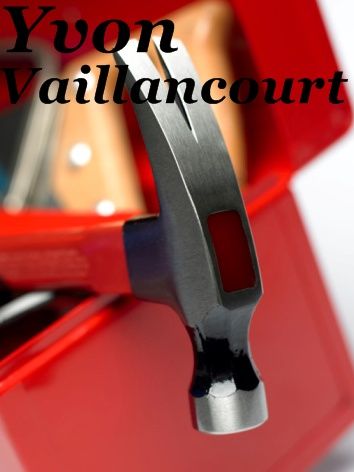 Yvon Vaillancourt - Logo