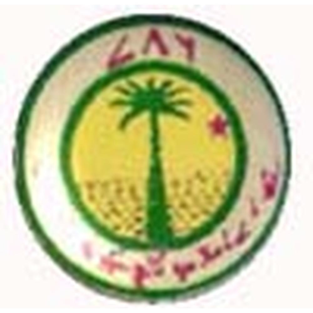 ZAIC Siwan (ZAIC) - Logo