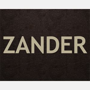Zander Property Services - Logo