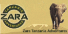Zara Tours - Logo