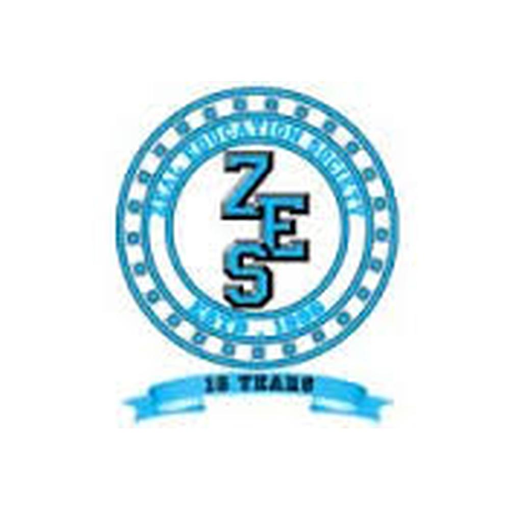 ZEAL INSTITUTE Pune (ZEAL INSTITUTE) - Logo