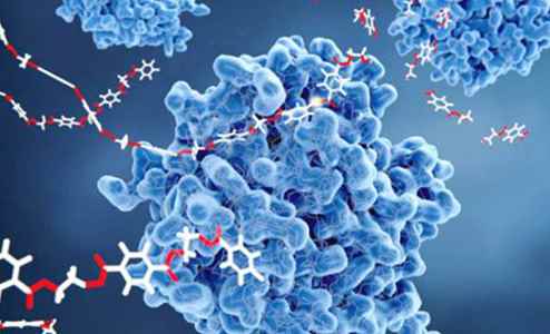 Zealmax Biopharma - Cover photo