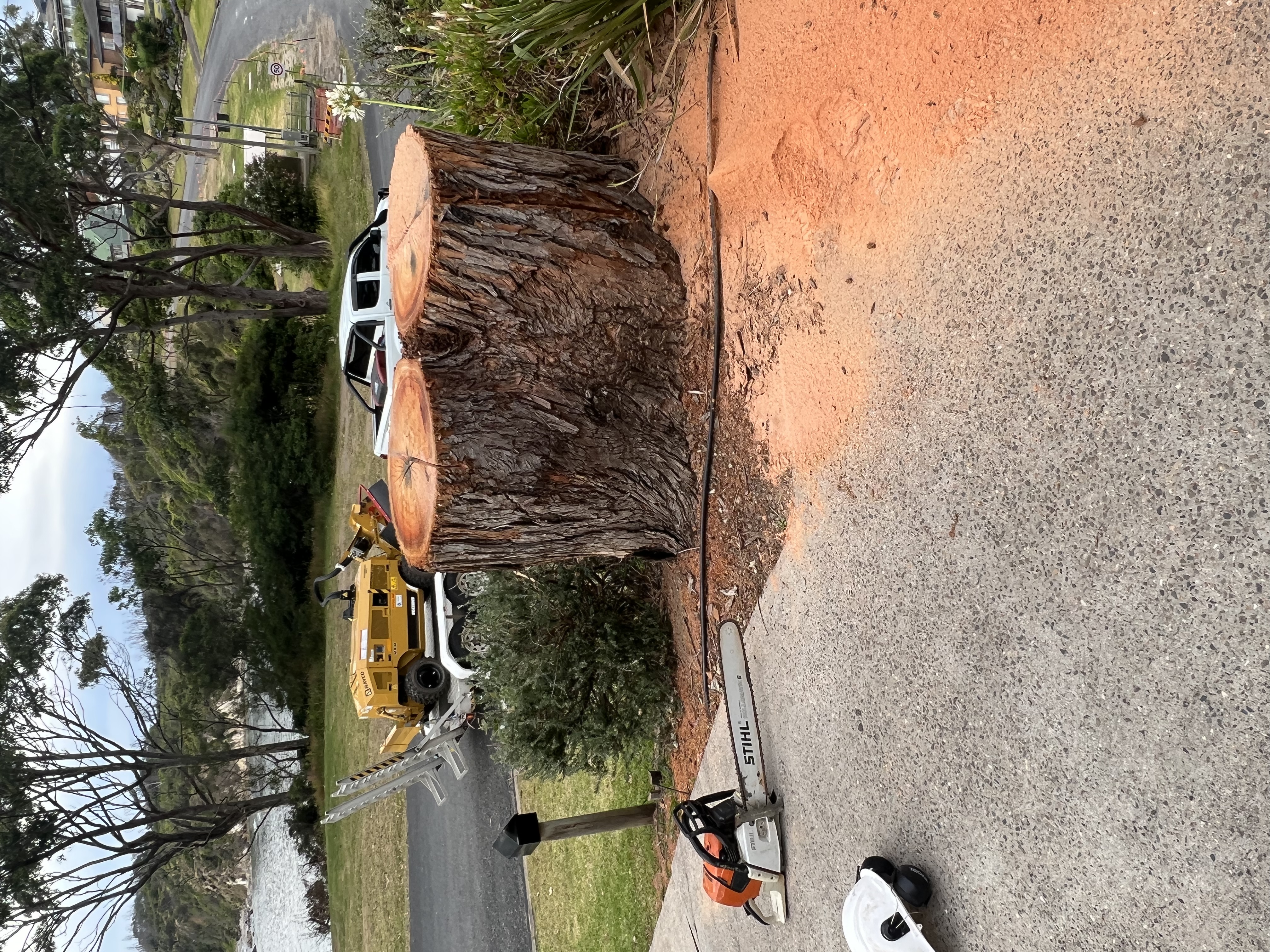 Zenith Tree Services - Logo