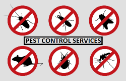 Zero Pest Management Services Pest Control In Gurgaon & Delhi - Logo