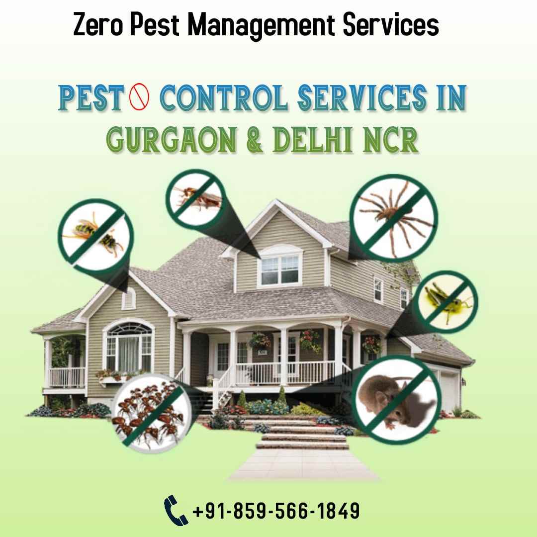 Zero Pest Management Services - Cover photo