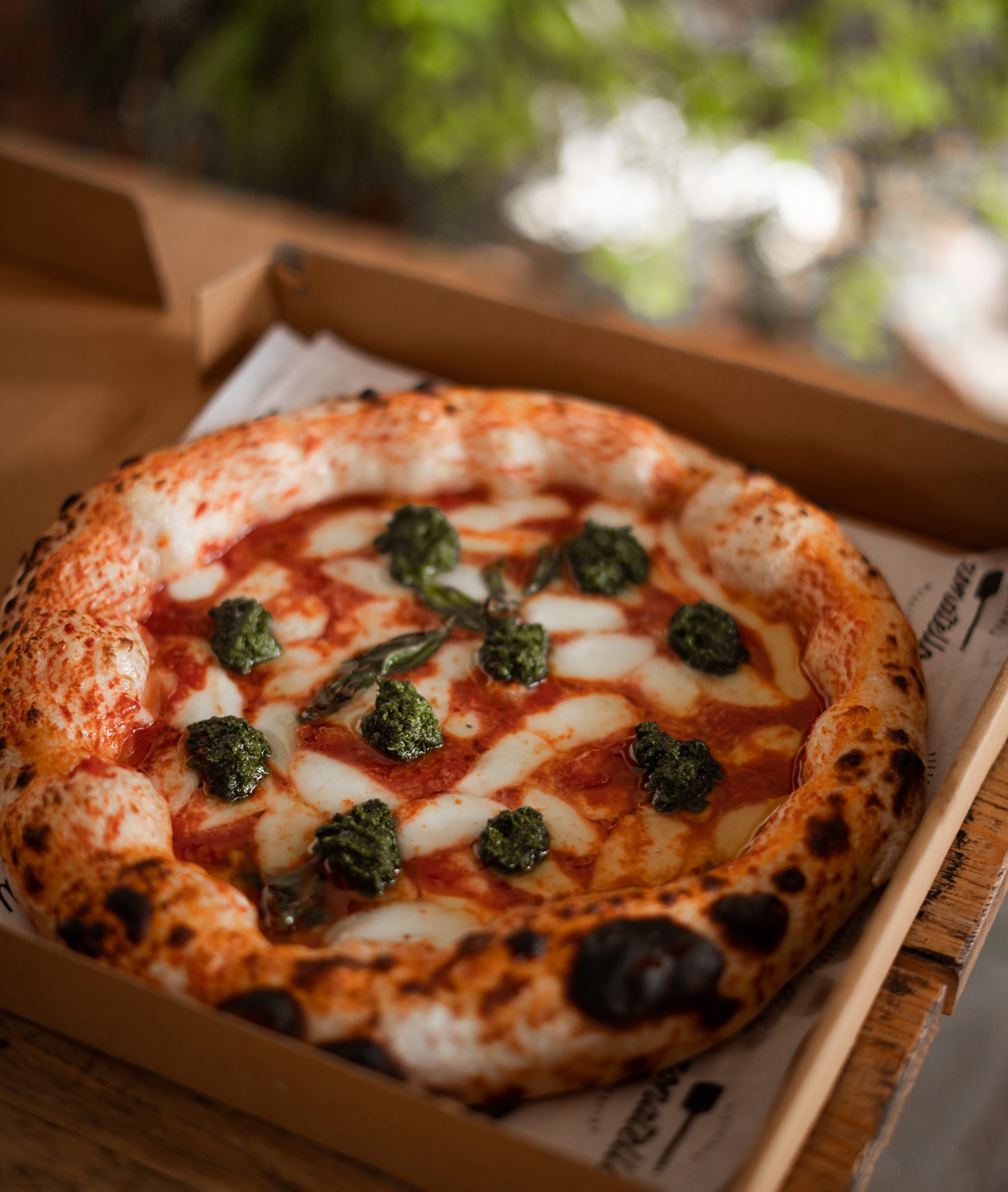 Zonatello - Logo