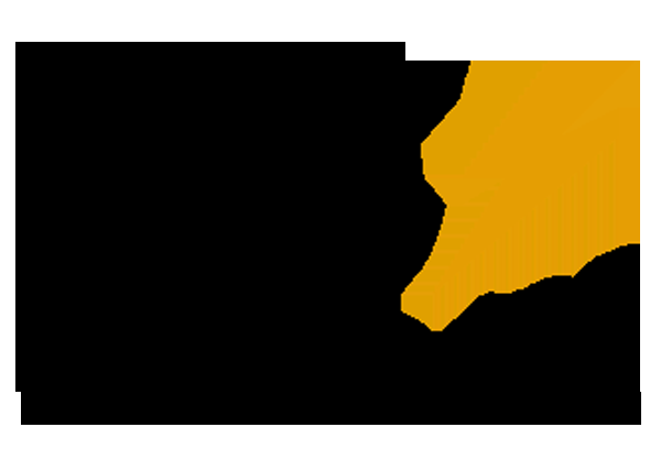 ZS Electric Inc - Logo
