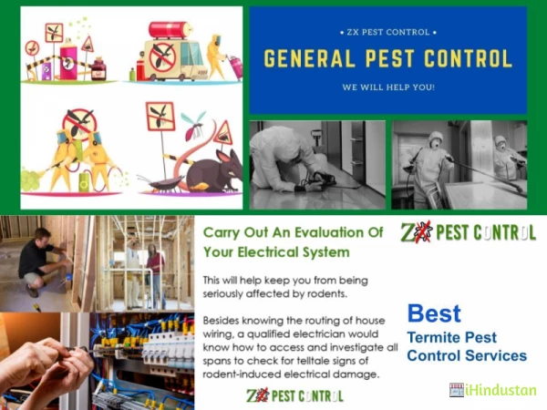 ZX Pest Control - Logo